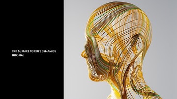 C4D Surface To Rope Dynamics