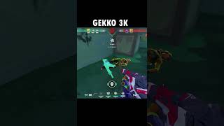 Sorry Tejo for wasting your ult #valorant #valorantclip #zorze #shorts