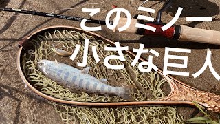 カーディフリフレイン45XSで本流の釣りをしてきました