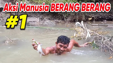 Aksi Manusia Berang Berang Menangkap Ikan Dengan Tangan Kosong #1