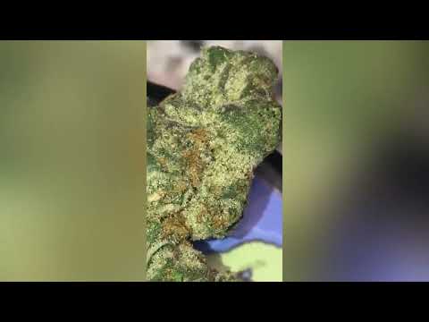 Cake mints Strain ( Smk Brk 420 )