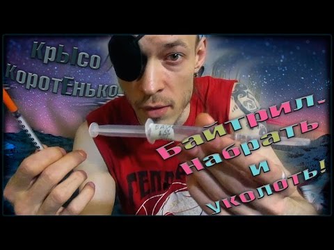 По просьбе | Байтрил. Набрать и уколоть. (Fancy Rats | Декоративные Крысы)