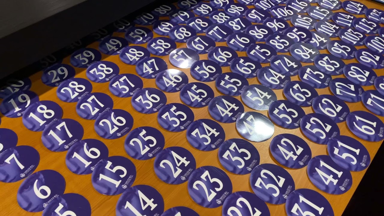 CASTING | Misters of The Netherlands 2020