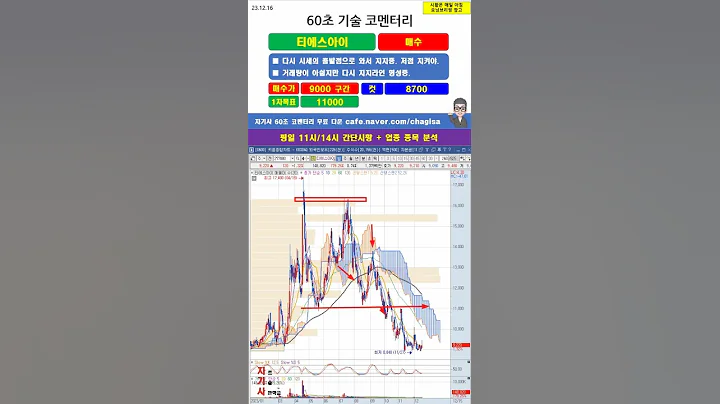 [60초 코멘터리] 티에스아이 주가 매매전략 231216