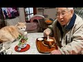 犬猫たちとお昼を食べるおじいやん