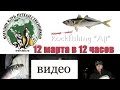 Мастер-класс! Rockfishing "Aji" или "Как поймать ставриду?"