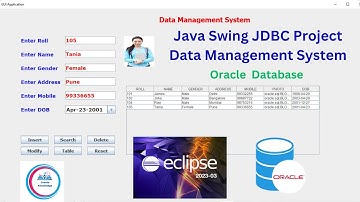 Java Swing Project CRUD operations  How to manage Data Base