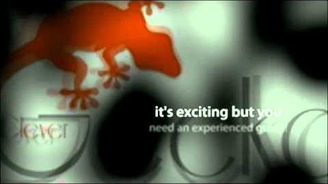 Clever Gecko - Business