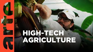 High-tech Food In the Netherlands | ARTE.tv Documentary