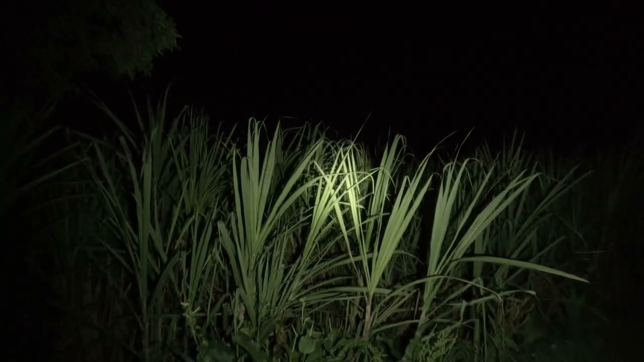 Panteón de Mahuixtlán 