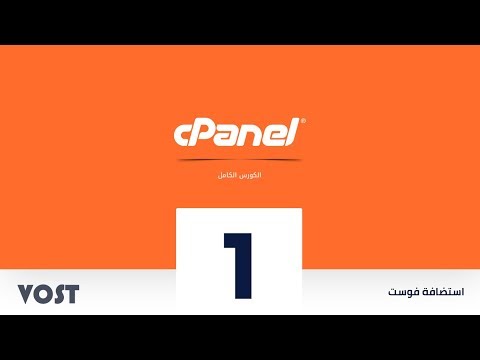 فيديو: 