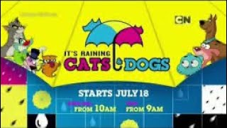 Download lagu CN Asia Its Raining Cats & Dogs (Bumper)