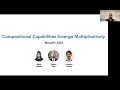 Explaining emergence in NN with model systems analysis - Ekdeep Singh Lubana (PIBBSS Speaker Series)