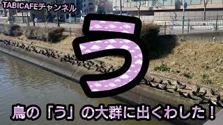 【う】の大群に出くわしました！うううううううううううううううううううううううううううううううううううううラうううううううううううううううううううううううううう←1文字だけうではありません！さてどこだ？