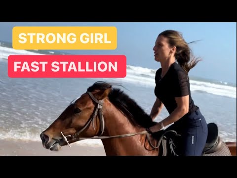 Strong girl galloping fast with a stallion #horse #horseriding  #equine #horselover #horsepower