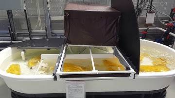 Adsorbent Test at Marine Sciences Laboratory