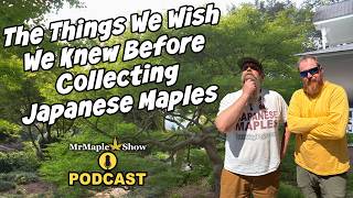 Japanese Maples: What We Wish We Knew Before Collecting