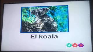 Baby Noah 2004 Dvd Discovery Cards Español