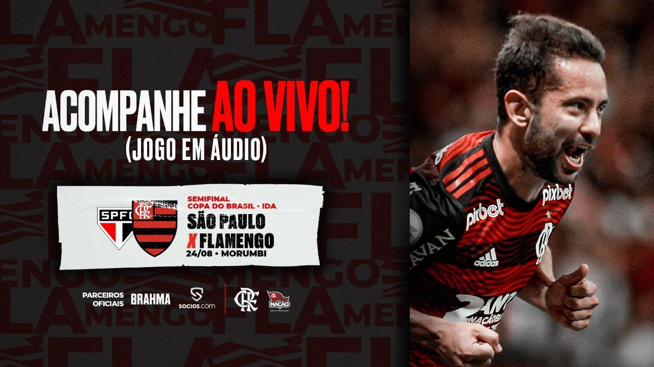 Assistir São Paulo x Flamengo ao vivo online 14/11/2021 HD -  !