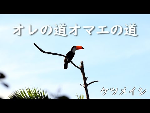【歌ってみた】オレの道オマエの道 / ケツメイシ