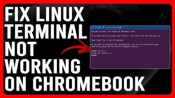 How To Fix Linux Terminal Not Working On Chromebook (Simple Troubleshooting Guide)