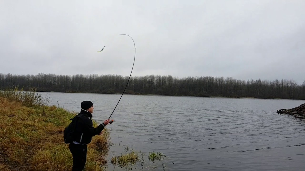 Палка Maximus Zircon jig