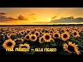 Paul Mauriat ~ Alla Figaro
