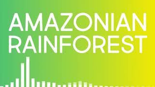 Amazonian Rainforest Ambience SOUND EFFECT