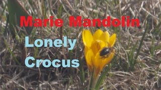 Marie Mandolin ~ Lonely Crocus