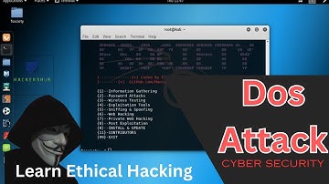 Denial of Service (DoS) Attacks: How They Work | Hackers Hub