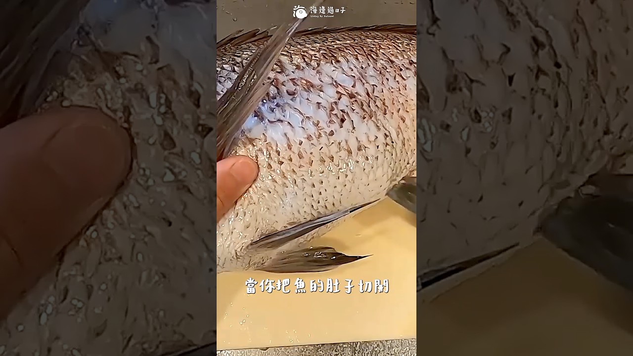 真鯛魚的精巢，居然那麼好吃！台中源立吞生魚片 #白子 #真鯛 ＃マダイ