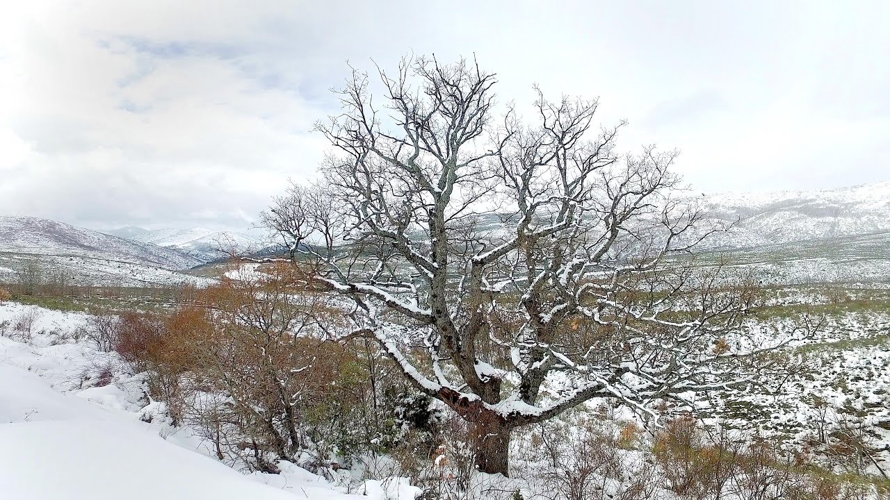 INFORMATIVO 10 ABRIL 2018