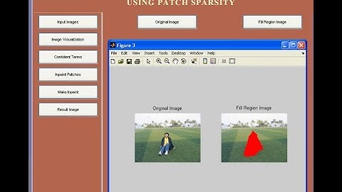 Image Inpainting by Patch Propagation using Patch Sparsity Matlab Project