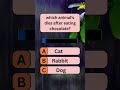 which animal’s dies after eating chocolate?#education #quiz #knowledge #vocabulary #trivia