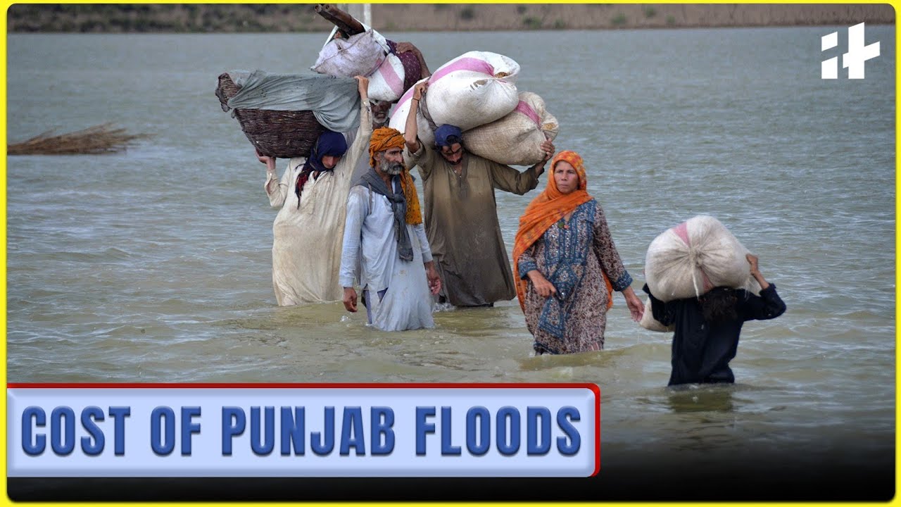 Punjab Floods Crisis: 3.5 Lakh Displaced, Farmland Underwater | Food Security at Risk