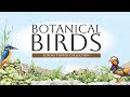 Live launch  botanical birds collection