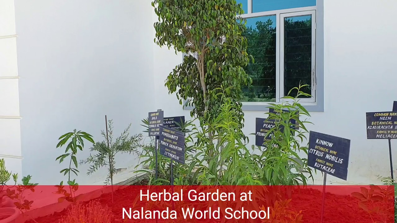 Herbal Garden | Nalanda World School