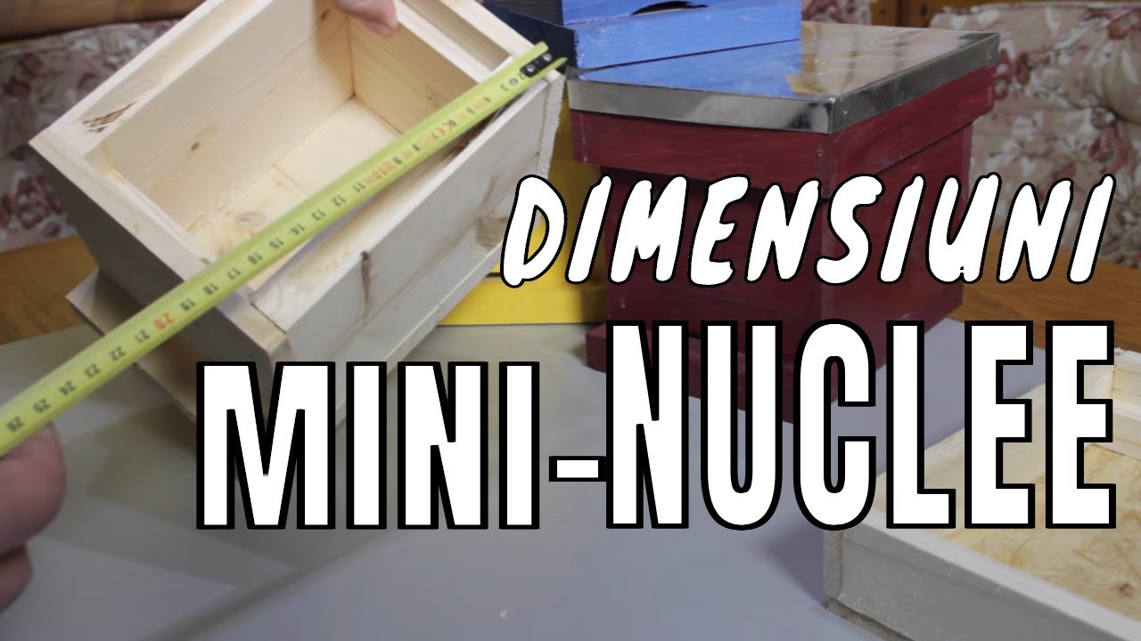 Dimensiuni Micronuclee imperechere matci  - Apicultura la noi acasa VLOG 51