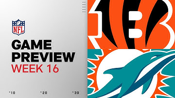 Cincinnati Bengals vs Miami Dolphins | Week 16 Game Preview