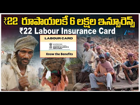 “Only ₹22! Govt’s Powerful Labour Insurance Card – Every Worker Must Know This!” | Zee Telugu News - ZEE24TELUGUNEWS