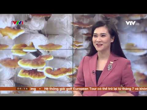 Video [VTV1] Về thăm trang trại nấm linh chi đỏ lâu đời nhất... - YouTube