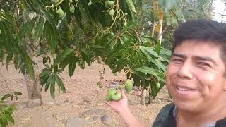 TOHUACO SEGUNDO HUAUTLA HGO, Y SU CATEDRAL.