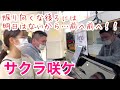 前へ前へっ!サクラ咲ケを初見全力連弾【嵐】