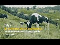 El Futuro de la Lechería: El Relevo Generacional en la Lechería - TvAgro por Juan Gonzalo Angel