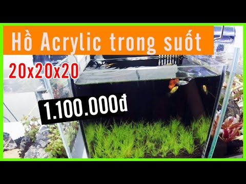 Video LÀM HỒ CÁ THỦY SINH bằng hồ nhựa Acrylic trong suốt... - youtube