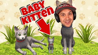 I Had a Baby Kitten... | Cat Simulator 2020 screenshot 2