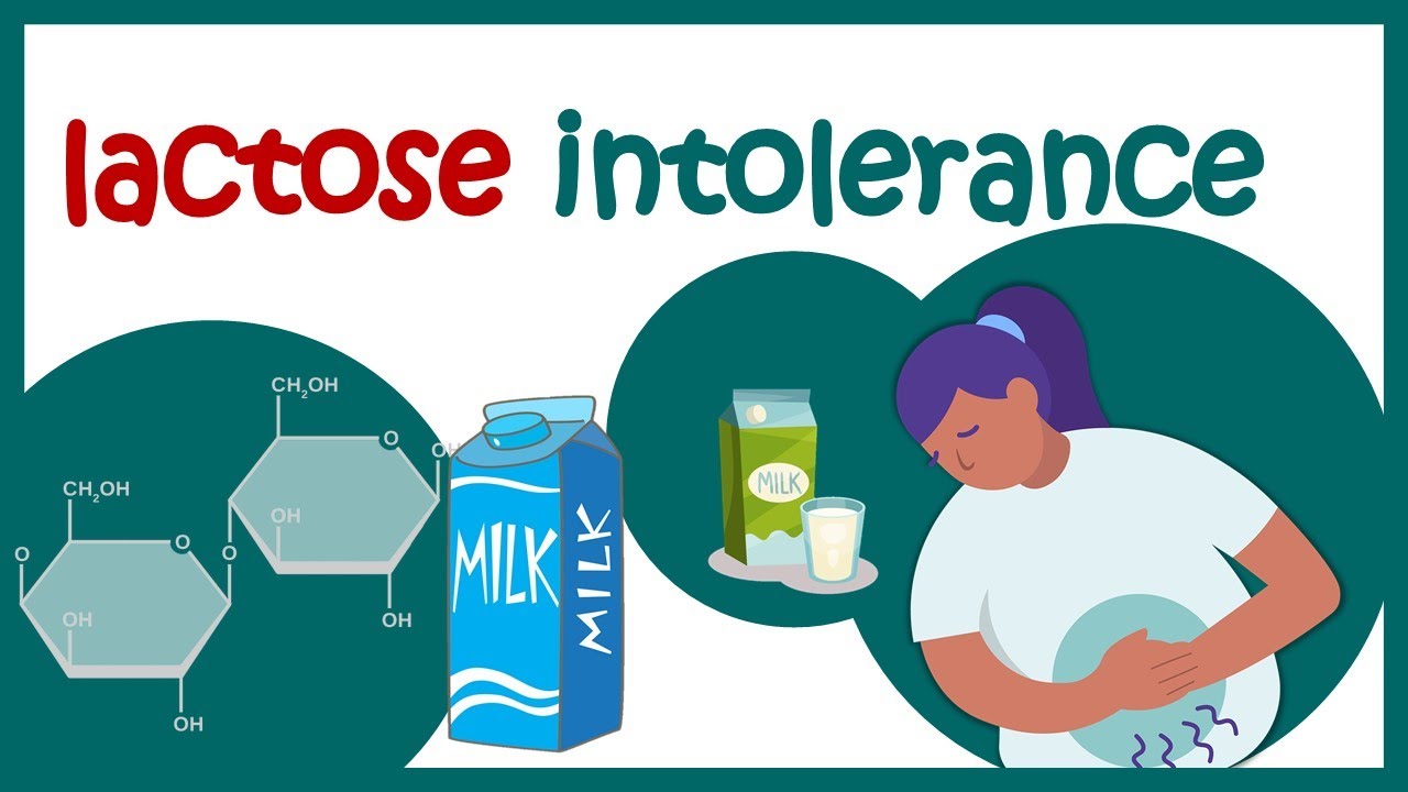 Lactose Intolerance | Why You Cannot Digest Milk Or Dairy Products? | Animated Biology With Arpan