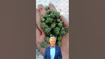 Maximizing Output with a Drying Room #fcnfm