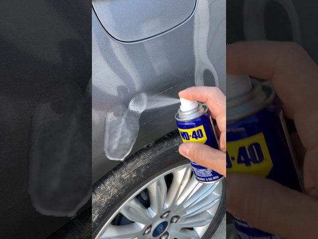 Can WD40 Really Remove Car Scratches??? class=