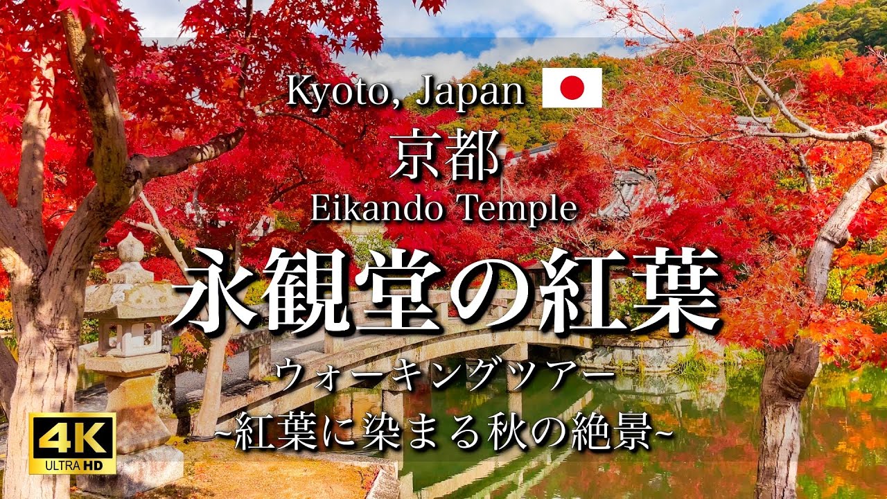 Осенние листья в храме Эйкандо в Киото, Япония | Красивый японский сад и пейзаж